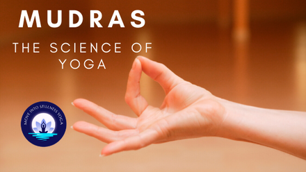 Know The Yoga Mudras
