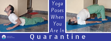 Yoga Poses To Try While Quarantined